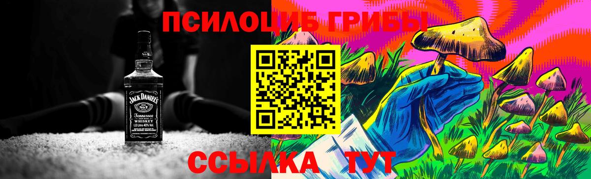 Псилоцибиновые грибы Cubensis Серов